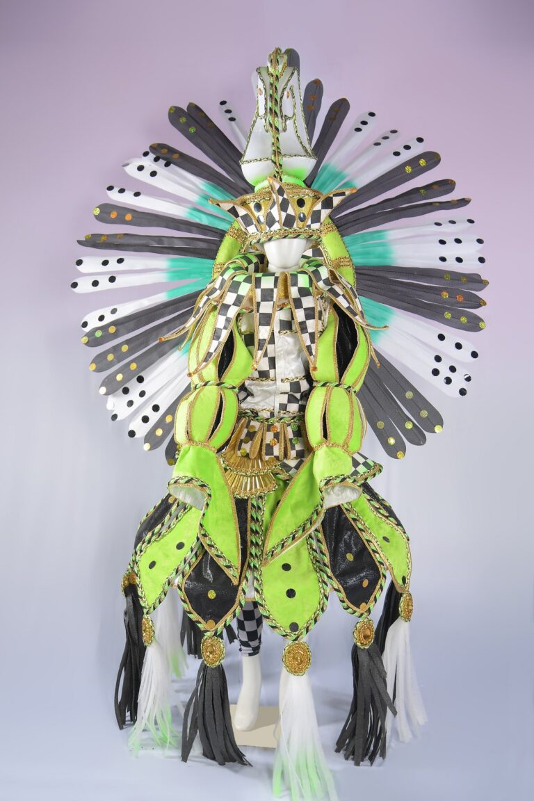 Fantasia da Ala 01 do carnaval 2026