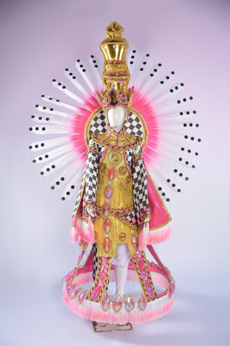 Fantasia da Ala 10 do carnaval 2026