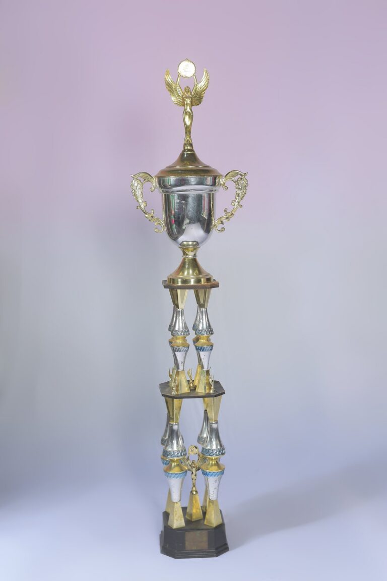 Troféu de campeã2012