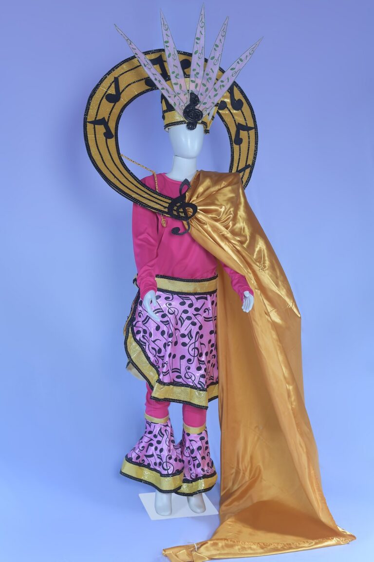 Fantasia do desfile de 2025 Fantasia da ala Riqueza Musical
